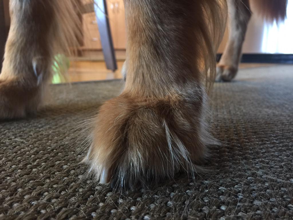 Scott Ediger (@scottediger) on Twitter photo 