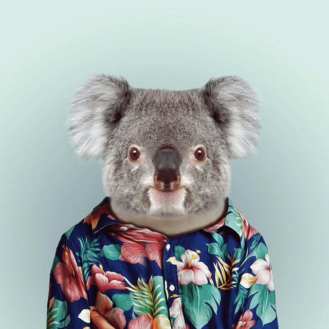 HongoIsLife's tweet photo. If I was a Kawala @Garrett_Hongo http://t.co/sOIuCW9fhu