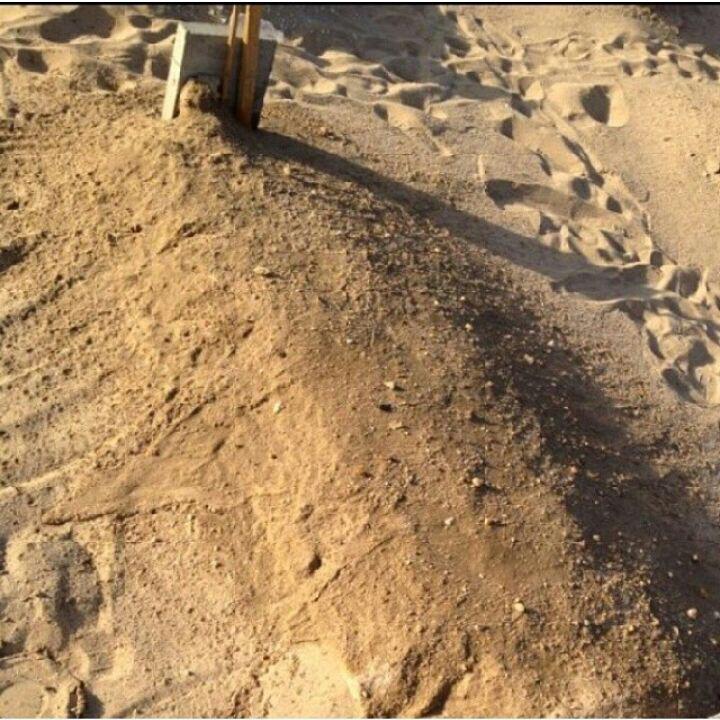 misbeshoo's tweet image. مرت سنتين ولا زلت اشتاق لغائب لن يعود!