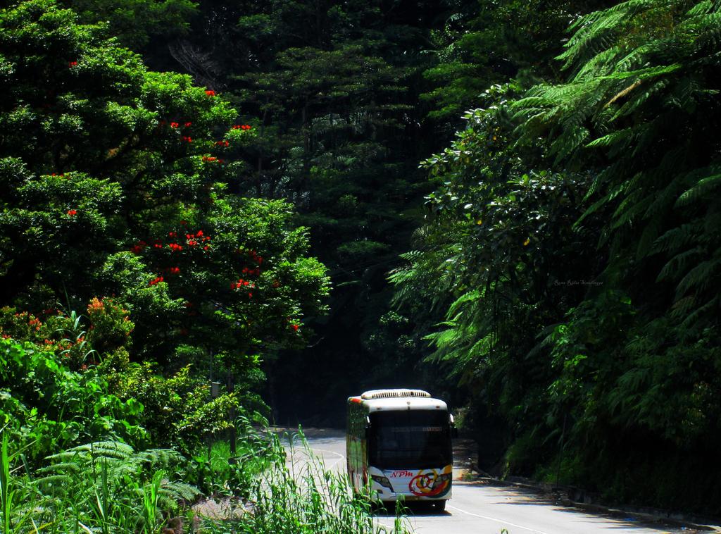 rona_sinulingga's tweet photo. Diantara hijaunya pepohonan 😊
NPM | Panorama 1 Stinjau Laut
@SukaFotoBis @Bis_NPM http://t.co/yDR0DJ6Eip