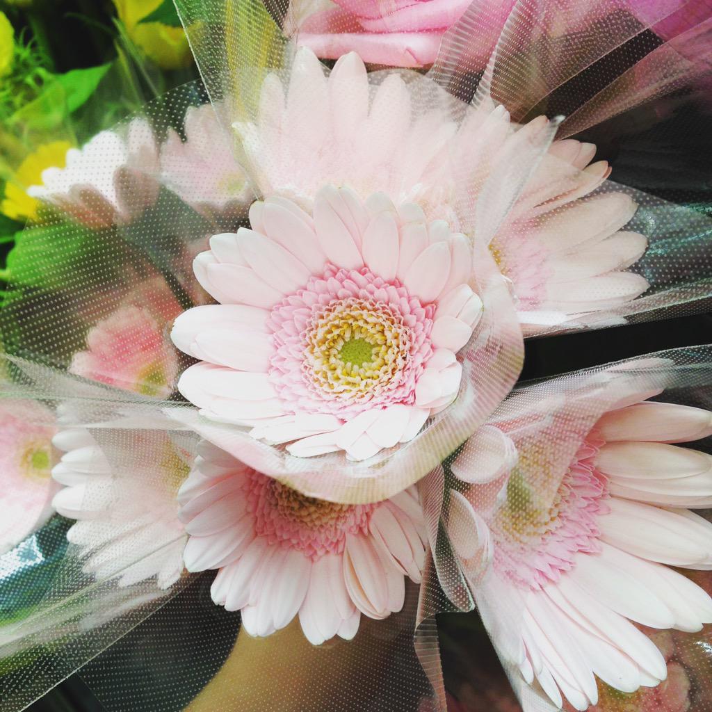 Flower Deco東京ソラマチ店 Fd Skytree Twitter