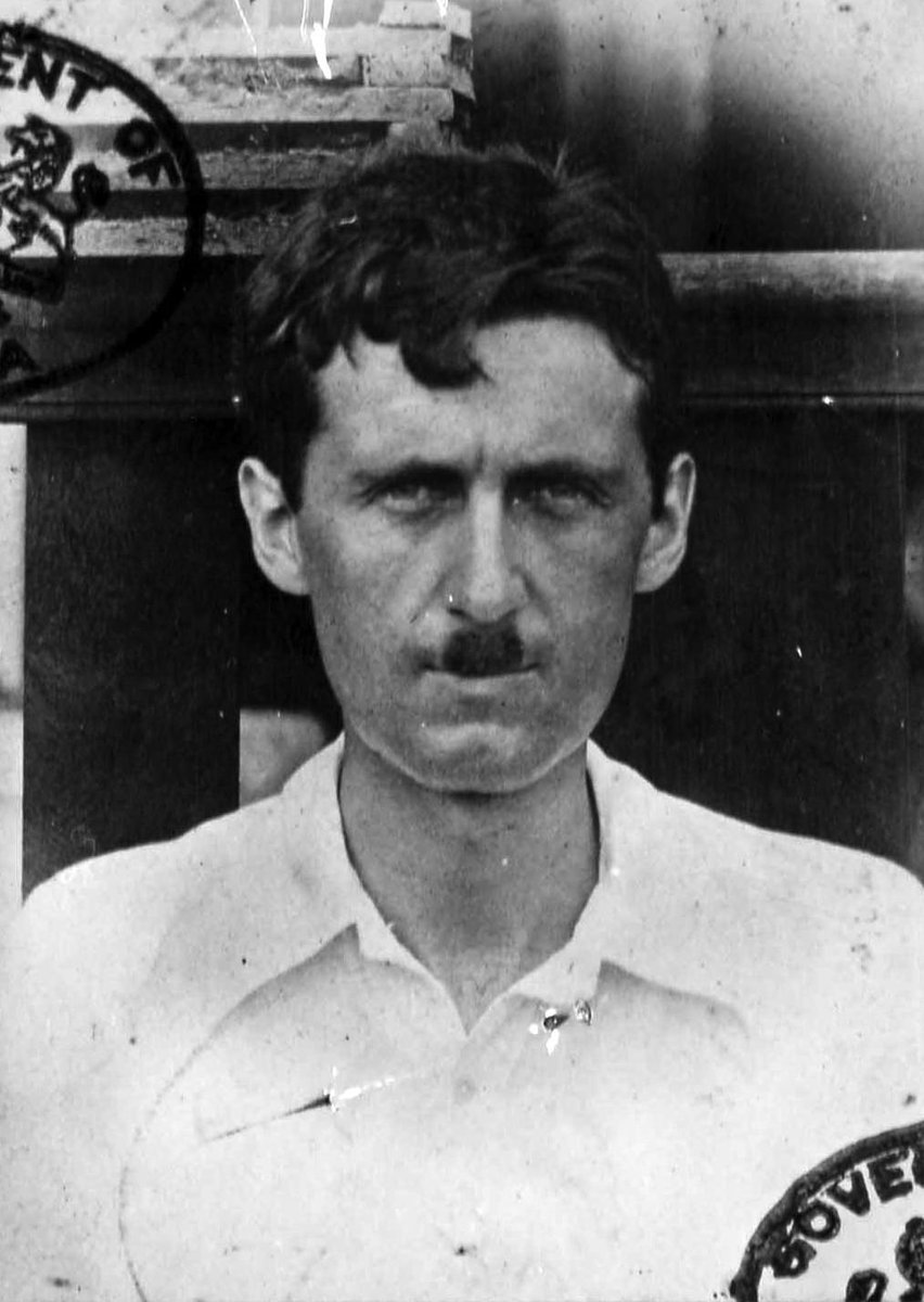 Stunning Image of George Orwell in 1925 