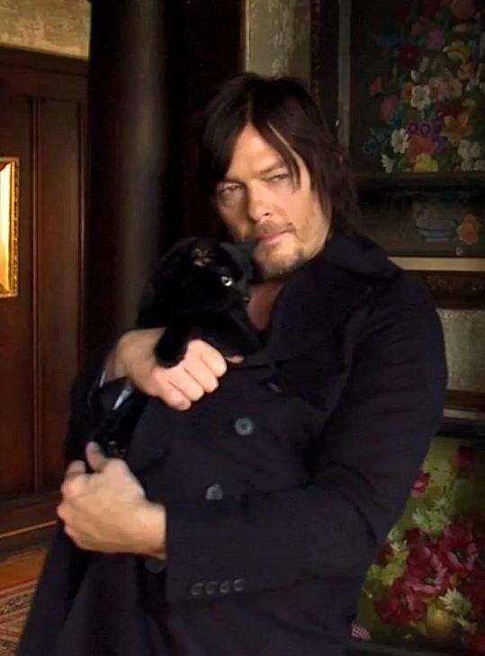 m_serda's tweet photo. Thanks for sharing the most amazing kitty ever EITD #NormanAppreciationDay #NormansAngels @wwwbigbaldhead @NormansCat http://t.co/dKDxEp3Ggr