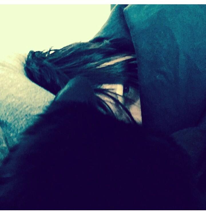 m_serda's tweet photo. Thanks for sharing the most amazing kitty ever EITD #NormanAppreciationDay #NormansAngels @wwwbigbaldhead @NormansCat http://t.co/dKDxEp3Ggr
