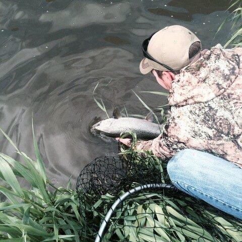 DieHardNW's tweet photo. Giving one back... #salmon #salmonfishing #Washington http://t.co/laZnVKRIvs