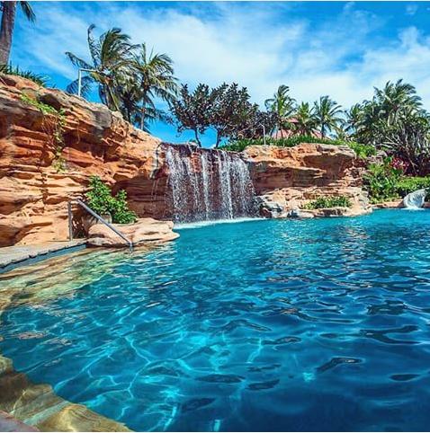 warrenjc_'s tweet photo. 🌴 http://t.co/yzd4CVQx90