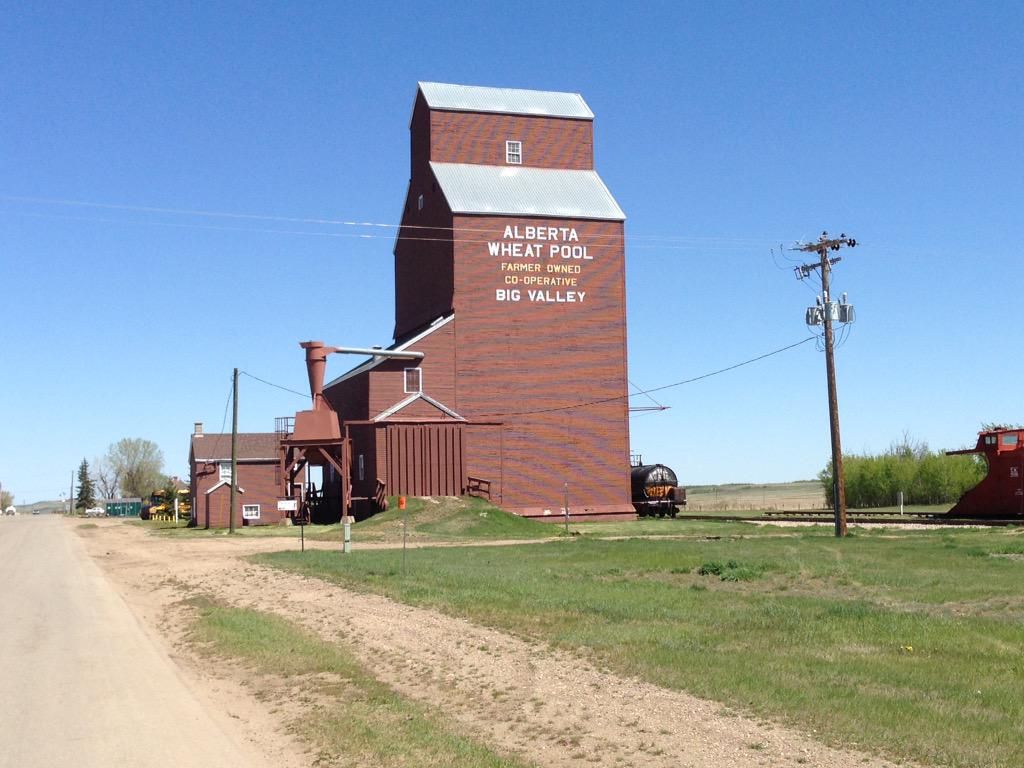 Daryl Nixon tweet media