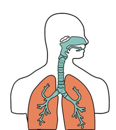 LivingGoodRkd2's tweet image. • "Believe it or not, most people don’t know How to BREATHE right, although we all do it...." amzn.to/h14DD2