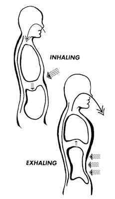 LivingGoodRkd2's tweet image. •Detox - using your own breath. Increase stamina and inner fierceness. amzn.to/h14DD2  bit.ly/e7orNO