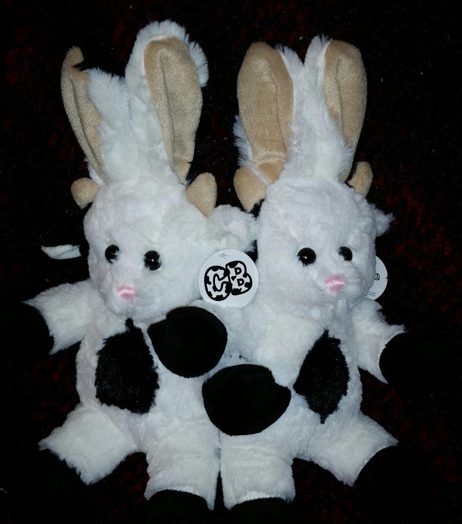 MyCowBunny's tweet photo. Way 2 go #GoldenStateWarriors great performance by #StephCurry 
@StephenCurry30 would love to give Riley a #CowBunny http://t.co/QhnPaWE4gP
