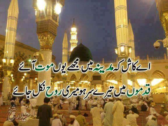 SabaOfficial's tweet photo. #اے_کاش
@Aliya313 @Ujala4u @biyaali57 @hyaqoob2  @FuriousAnie @FairyFaria https://t.co/fjgbaSCTaX
@FoziaShafqat