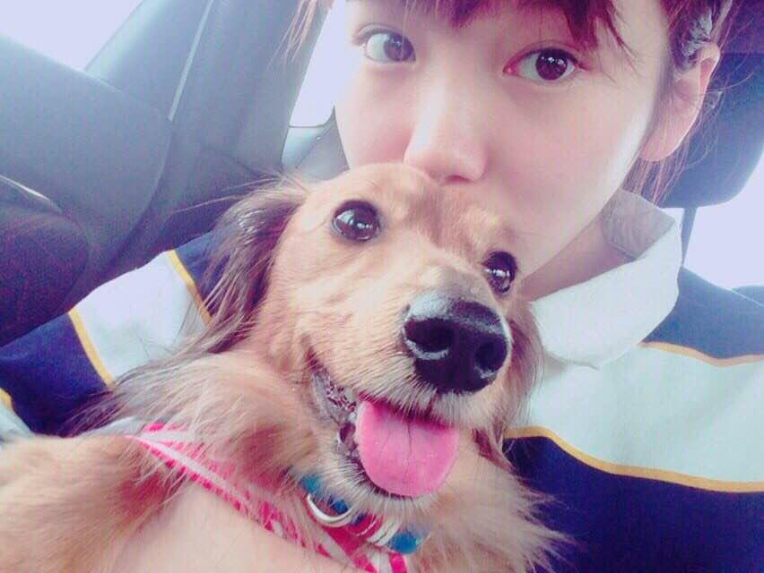 アルジャーノンに花束を в X: „白鳥花蓮役、飯豊まりえさんから コメント届きました！ 「アルジャーノンに花束をの公式ツイッター発見！ みんなもぜひフォローしてくださいね✨ あともう少しで７話です☺️ あいきょでしょ✋」 http://t.co/U3uskEVBbp“ / X