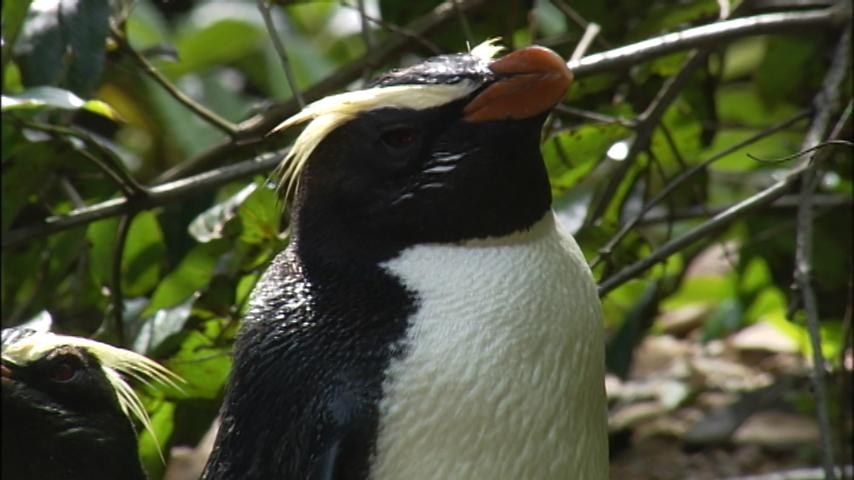 CFlrxUOUsAAYZ2V.jpg?format=jpg