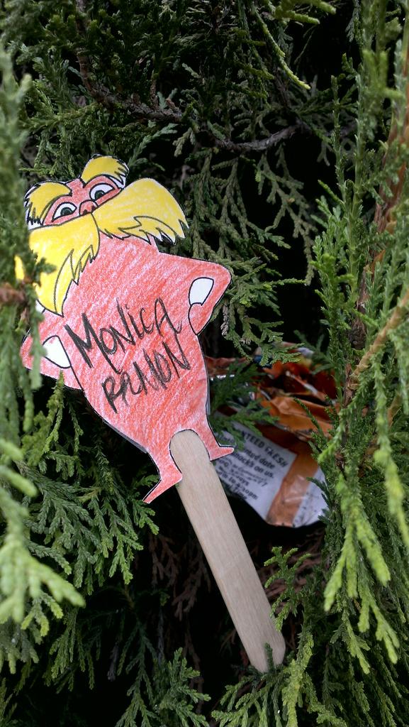 ayyy_mony's tweet photo. Don't litter, especially don't throw your trash inside bushes! #lhsapes #lorax http://t.co/UXuDQxbCs2