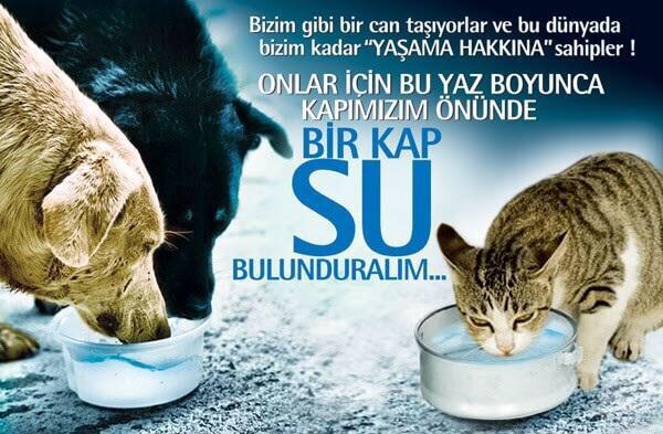 PatiDayanisma_'s tweet photo. Çok #SUsuyoruz #BirKapSU http://t.co/PRQjiKRYvT