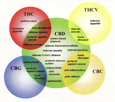 420MDI's tweet photo. http://t.co/sOklLCHF3r