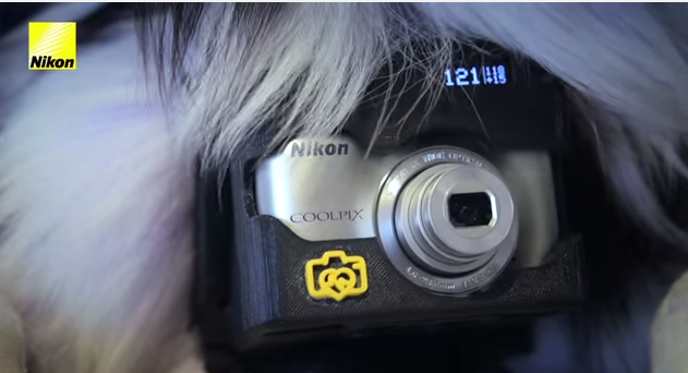 3DPrintingFans's tweet photo. Canine Paparazzi: Nikon Creates Personal Camera for Dogs with 3D Printed Smartcase - http://t.co/Ir4yjhU59u http://t.co/1W0K7xiVDW