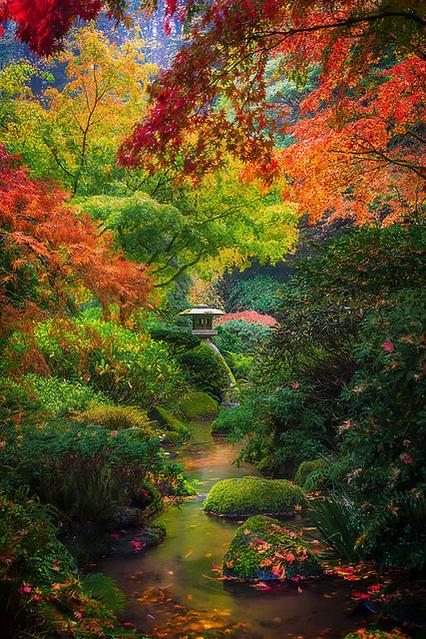 Amazing colors in the #Portland Japanese Gardens.