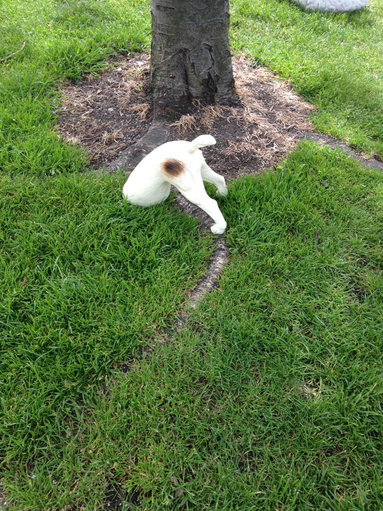 amyhuberman's tweet image. Gas little ornament in Donnybrook. Anyway don't be this dude today burying the head! Go vote! 💚