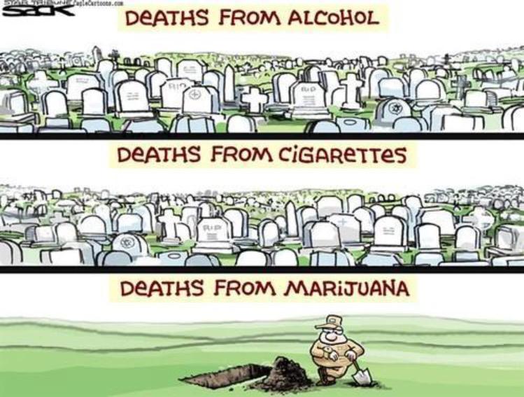 ConspiringWorld tweet picture