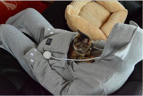 EnagoAcademy's tweet photo. For #PhD Students' love of Cat🐱: A cat pouched sweatshirt! http://t.co/FC7SRzEw2O 

#phdCat #phdmom #phdlife #phdchat http://t.co/lBVjoeECM7