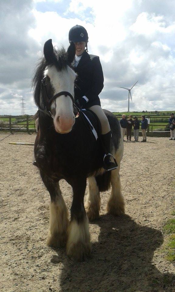 HannahTstone's tweet photo. 1st place with Wexford the horse
2nd place with Willow the horse http://t.co/xQQg9m31mz