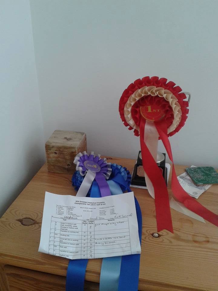 HannahTstone's tweet photo. 1st place with Wexford the horse
2nd place with Willow the horse http://t.co/xQQg9m31mz