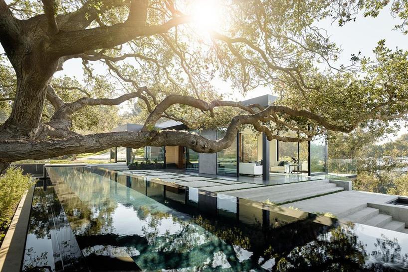 designboom tweet media