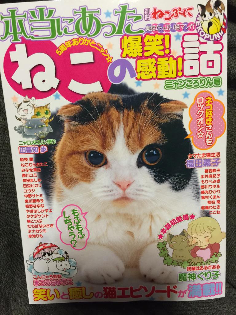 RT @magami_tobazu: 【宣伝】 ねこぷに別冊 ぬこの爆笑感動話 ニャン