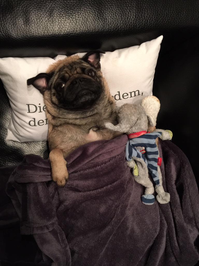 Na dann gute Nacht☺️