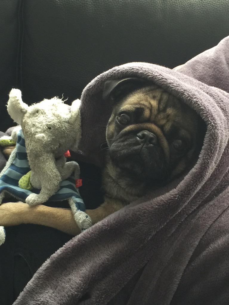 Möge die Macht mit dir sein😌