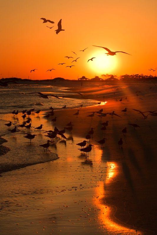 MarionSpekker's tweet photo. @MATIASM97027089 
Guten morgen :-)) 🌻🌻 http://t.co/5RhbQv0aAV