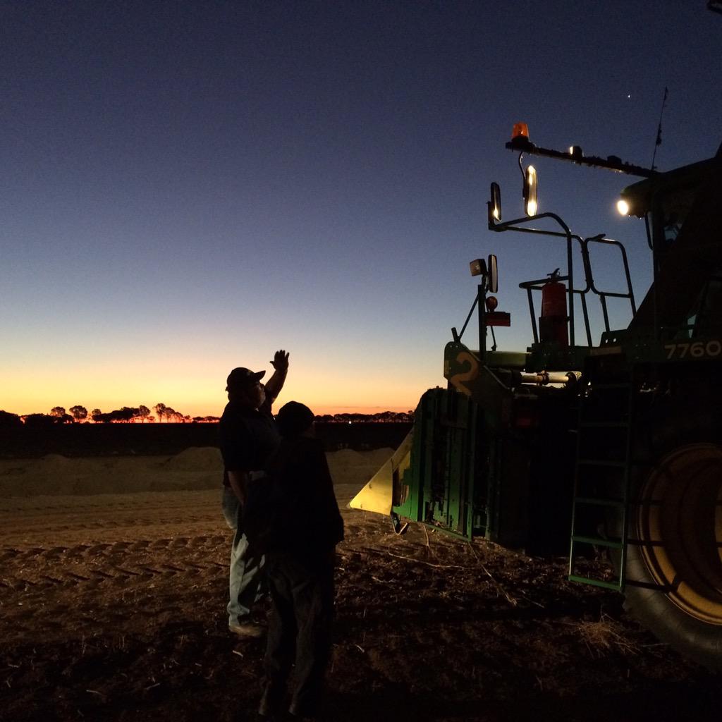 BidgeeCotton's tweet photo. Shift change. http://t.co/ROjuDCDOXg