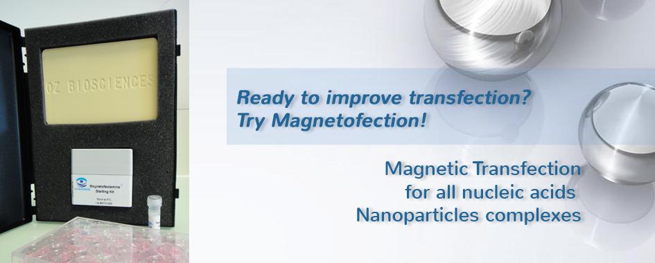 OZBIOSCIENCES's tweet image. 20% on #Magnetofection products with promo code FIRST20 until June 15th