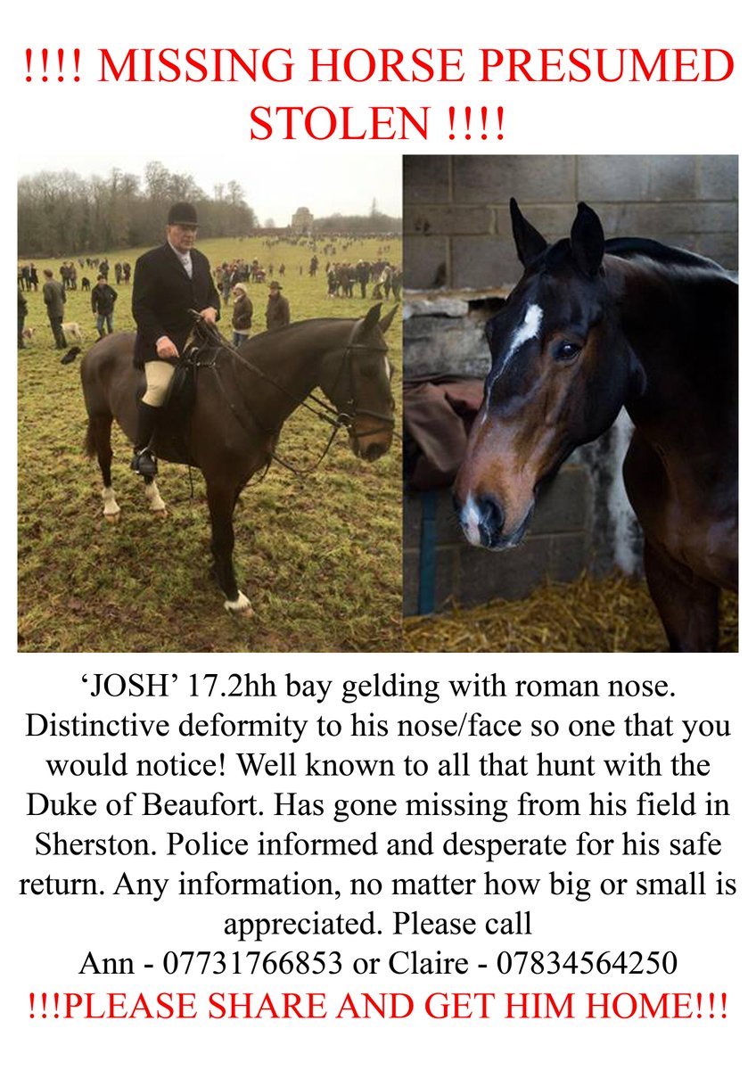 lauraness_x's tweet photo. MISSING HORSE PRESUMED STOLEN - PLEASE SHARE!!! @CollettEventing @HorseAndCountry @horseandhound @kaythompson_ http://t.co/vA7FO3jVZH