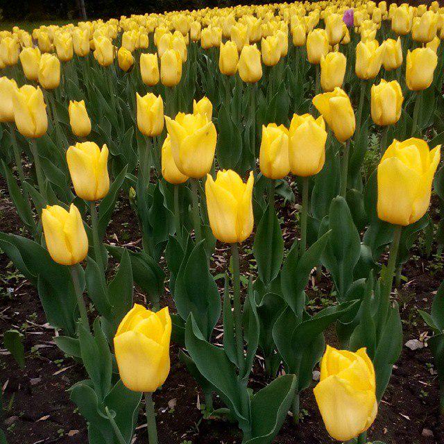 Галина Никитина tweet media