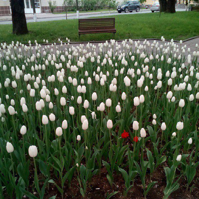 Галина Никитина tweet media