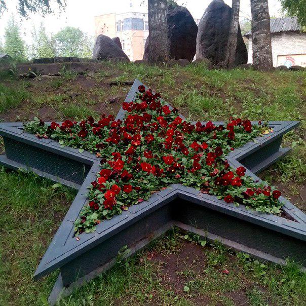 Галина Никитина tweet media