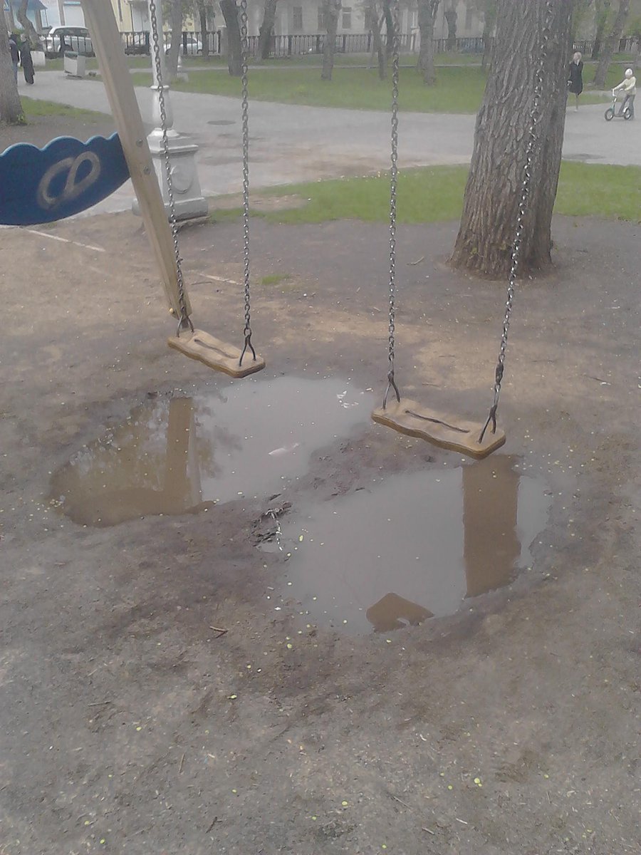 binrush tweet picture
