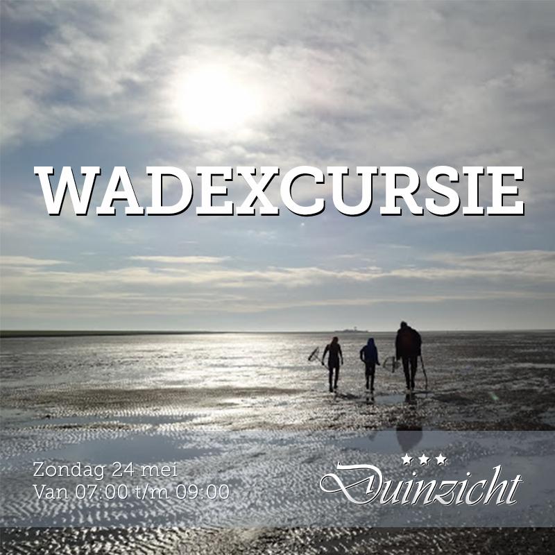 Aanstaande zondag 24 mei is er een wadexcursie! Voor meer info kijk op onze website: hotelduinzicht.nl/evenementen/wa…