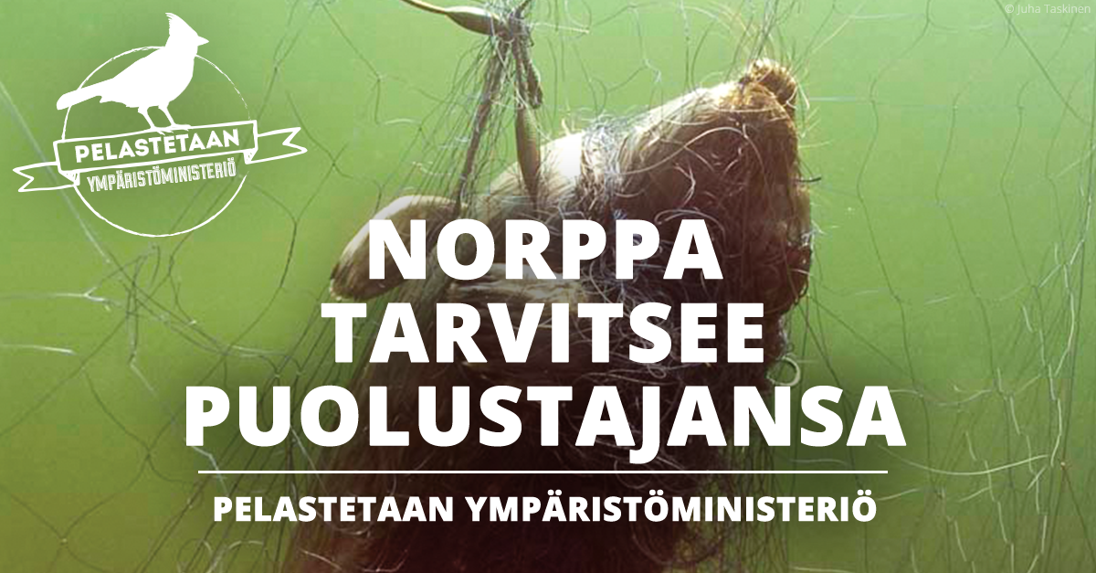 VVilkamaa's tweet photo. 37 tuntia pelastaa #ympäristöministeriö. Allekirjoita vetoomus: http://t.co/7OJWDx2tS1 http://t.co/o1Tl12sLxZ
⊕http://t.co/AEjf3NJHXb