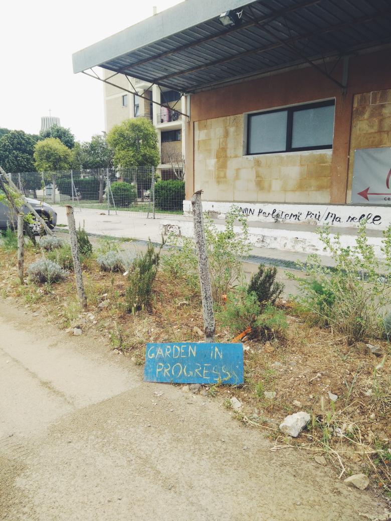 #TEHmeeting79 Garden in progress! The gardening is the real #revolution?