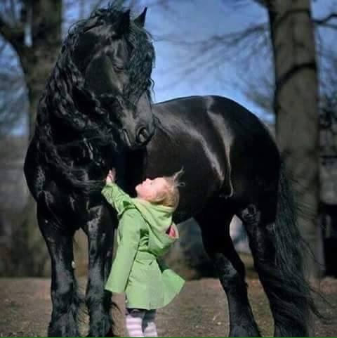 Zaman_4bb's tweet photo. اللون الاسود غاية في الجمال😍
بأستثناء القلب الاسود http://t.co/5mgHBQSdj0