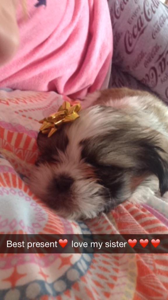 XoAbbz's tweet photo. @ColeenB123 how do you feel about my present? http://t.co/XwsHsc9JSh