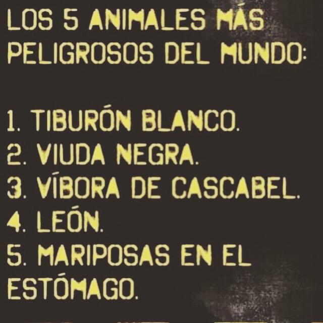 cosasdemery's tweet photo. Las mariposas las que mas!!!😂😂 http://t.co/OtTCQt0oDQ
