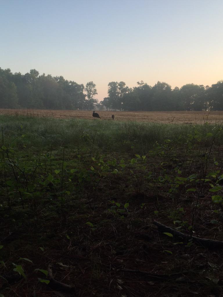 MD_bowhunt's tweet photo. 2 days left. Enjoy the view http://t.co/9ux6V8PbZj