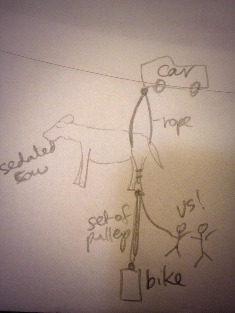 HowNowDownCow's tweet photo. .@da_kar do these diagrams make sense? The cow is deeply sedated and we use pulleys #cowvet #dislocatedhip http://t.co/Aad5QXj8qm