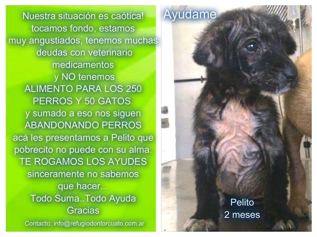 ZuikeVal's tweet photo. Por favor difundir, necesitan ayuda! @lizytagliani @LizSolariOfcl @nikitaneumann gracias http://t.co/JBZh2dJRPj