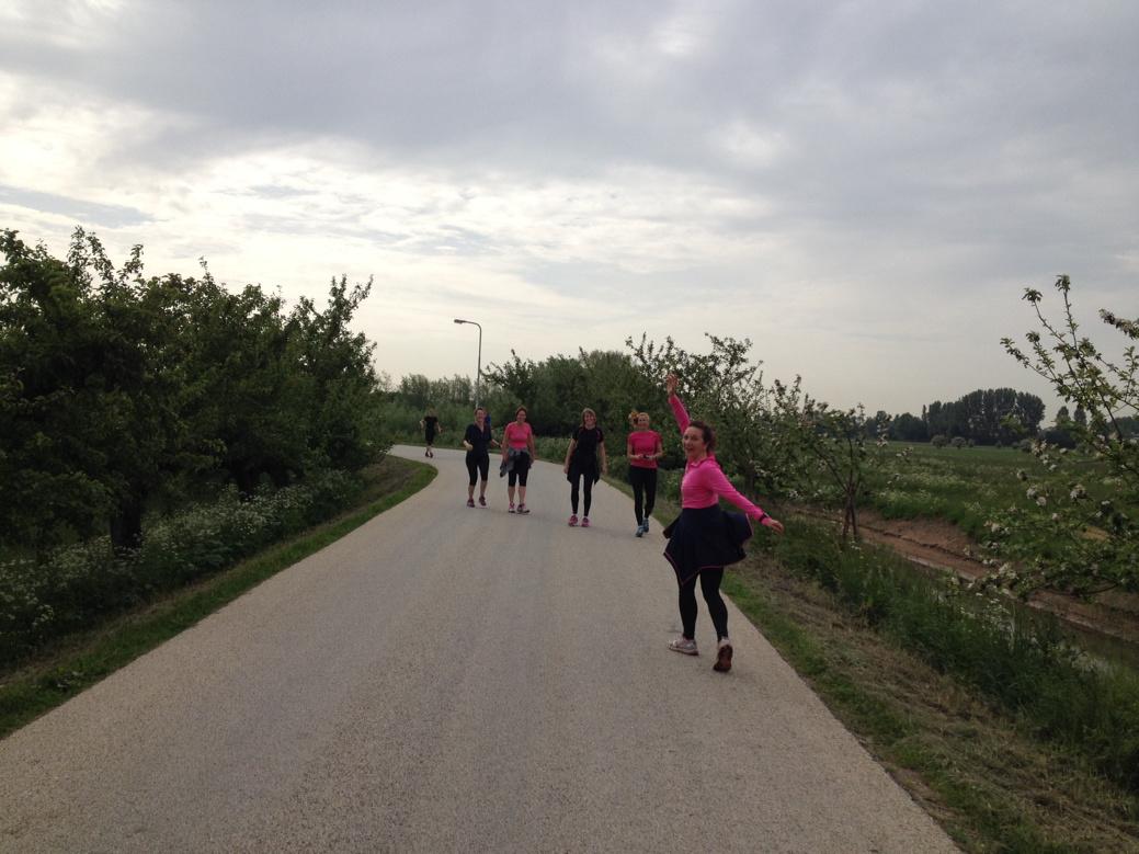 Vanmorgen op de Appeldijk, zomaar een kudde hollende dames in de 'wei' <a href="/GMGezond/">GeldermalsenGezond</a>