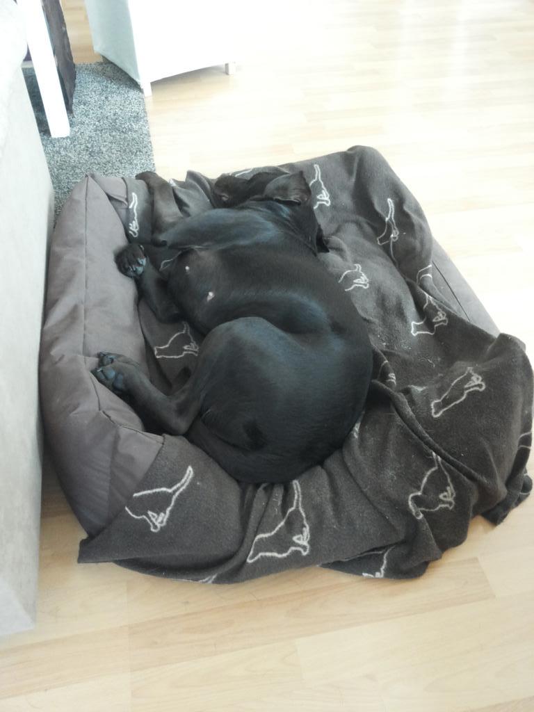 So sieht ein zwangsverordneter Ruhetag aus: